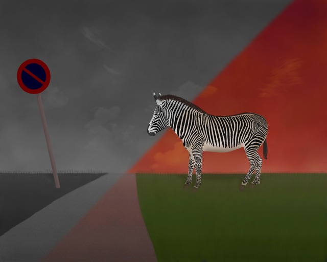 Zebra Crossing by DiamonDie/foobug^Numedia Cyclops