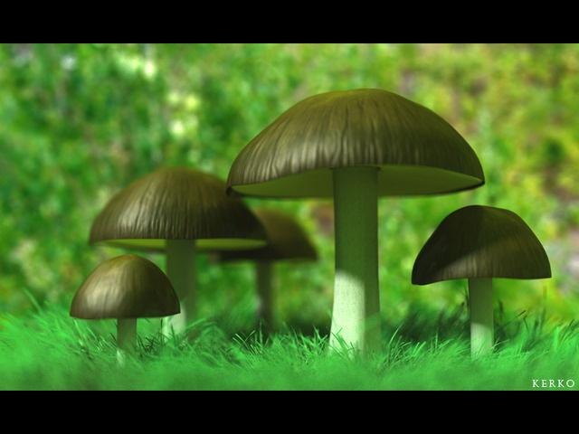 My Best Mushrooms by kerko