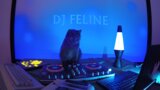 DJ Feline by Neotheta, Kahvikello, MooMoo